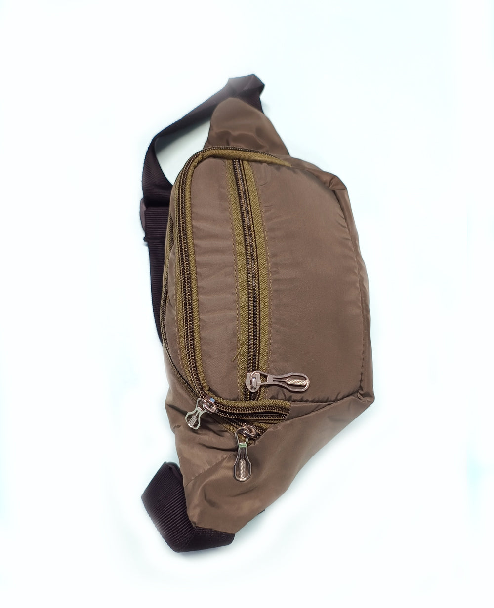 Passport & Travel Waist Bag